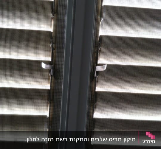 תריסים סגורים עם רשת מגן על חלון